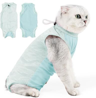 Uplifted Finds Professional Female Cat Surgical Recovery Suit blue l