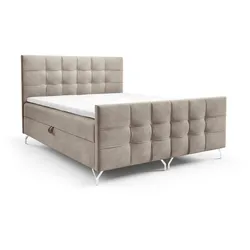 BOXBETT Perla