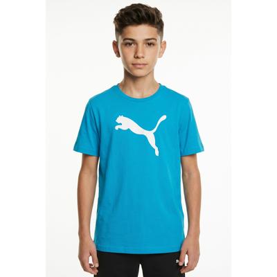 Fußballtrikot PUMA "TEAMRISE LOGO JERSEY COTTON JR", Jungen, Gr. 140, blau (speed blau, puma weiß), Jersey, Obermaterial: 100% Baumwolle, unifarben, regular fit normal, Rundhals, Trikots Fußballtrikot, für Fußball, für Jugendliche, Kurzarm,...