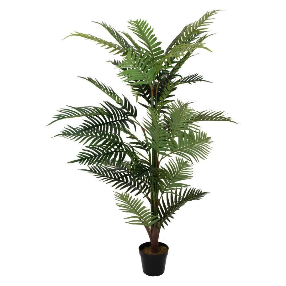 Europalms Areca Palme (150 cm) (82509414)