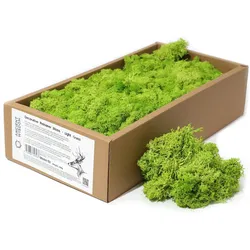 Quality Decoration Reindeer Moss - Light Grass  -  635g Box