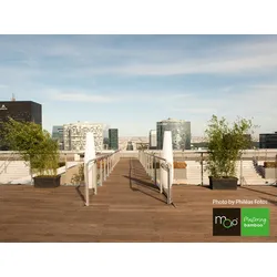 MOSO® Bambus Terrassendielen, 20x155 mm, Bamboo X-treme®, fein/gebürstet, geölt mit Woca