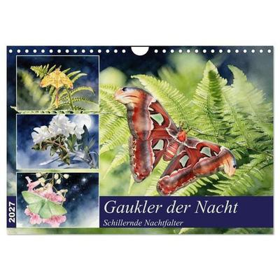 Gaukler der Nacht - Schillernde Nachtfalter (Wandkalender 2027 DIN A4 quer), CALVENDO Monatskalender