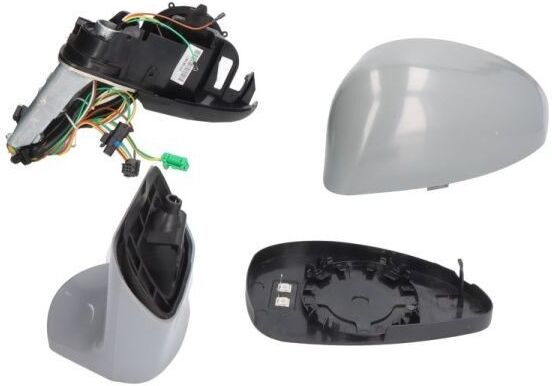 BLIC 5402-04-1191981 Wing mirror