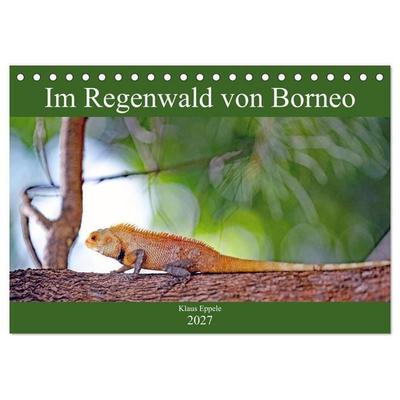 Im Regenwald von Borneo (Tischkalender 2027 DIN A5 quer), CALVENDO Monatskalender
