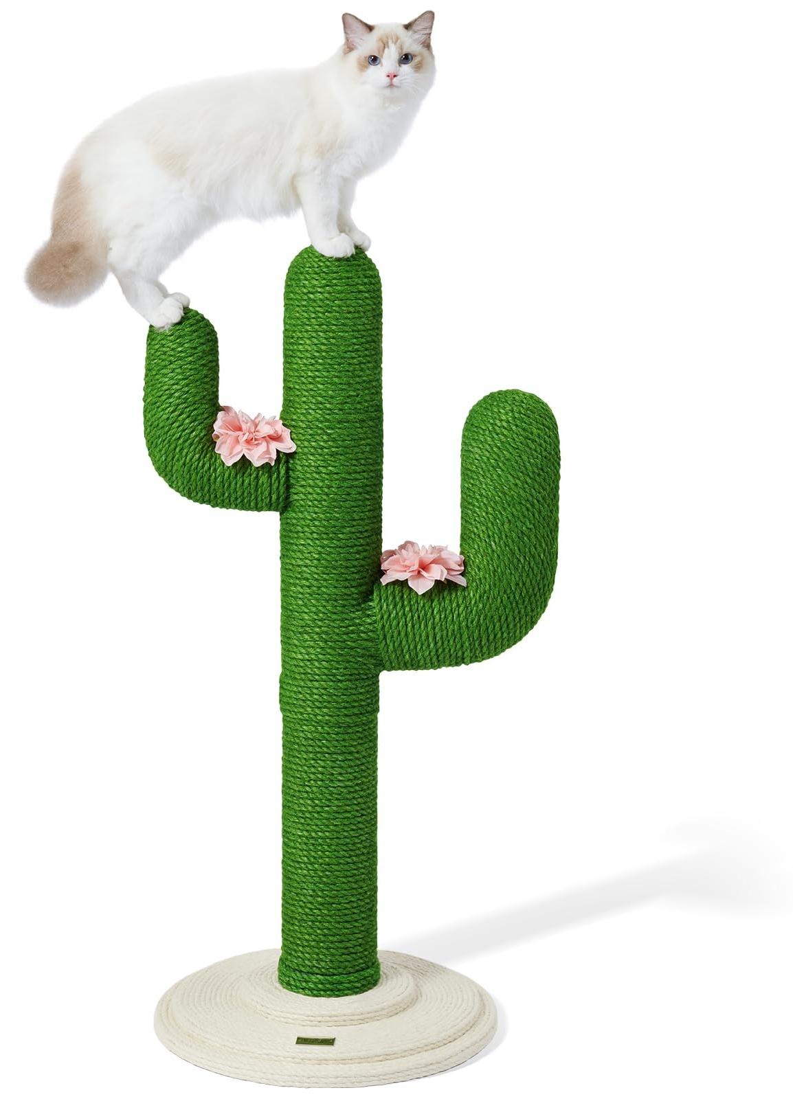 Kaktus Kratzbaum für Katzen, Langlebig und Stilvoll