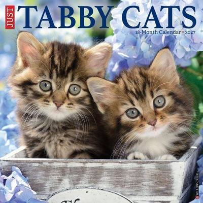 Tabby Cats 2027 12 X 12 Wall Calendar