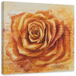 LEINWANDBILD, Orangefarbener Rosenkopf 40x40cm