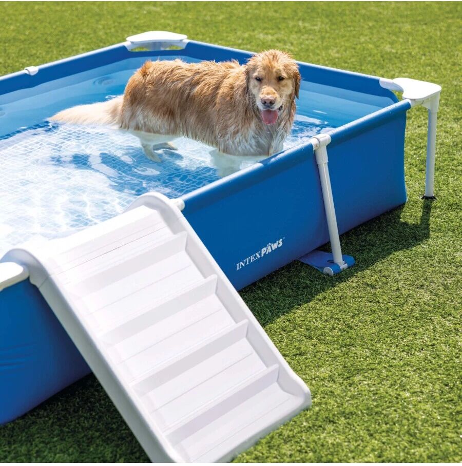 Intex PISCINA RETTANGOLARE PER CANI CM 229X152X46, I.1