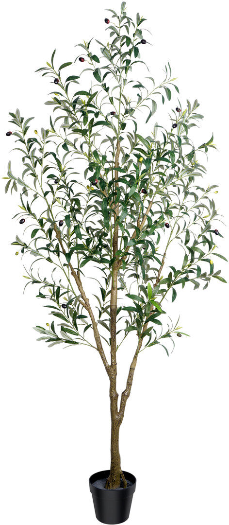 Lily Manor Faux Olive Tree Plant in Plastic Nursery Pot Green 180cm/6ft