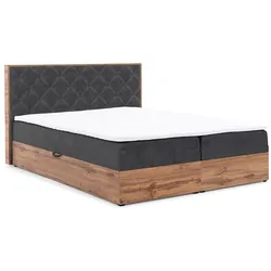 BOXBETT Maximo In Torre