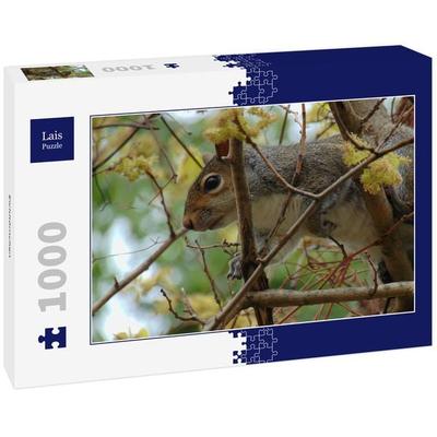 Lais Puzzle Eichhörnchen 1000 Teile