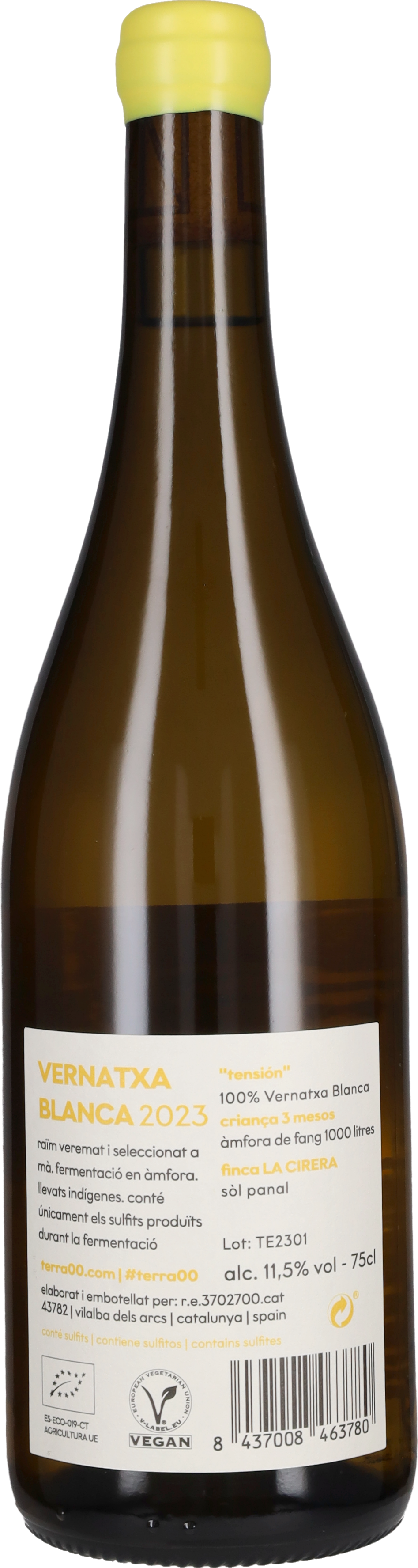 Terra 00 Vernatxa Blanca 'Tension' Terra00 2023