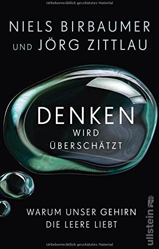 Niels Birbaumer - Denken wird überschätzt: Warum unser Gehirn die Leere liebt - Preis vom 17.10.2026 19:25:27 h