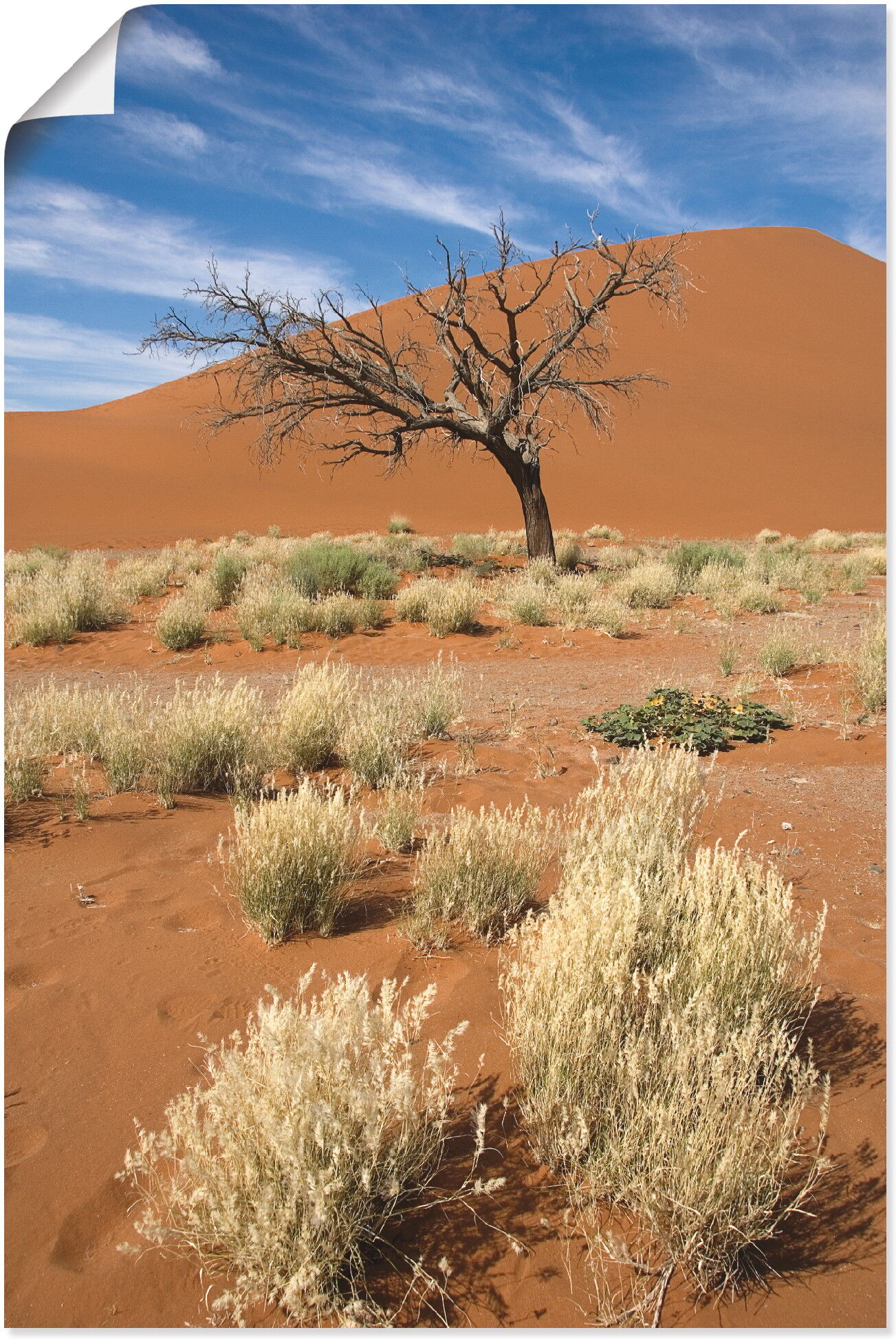 Poster ARTLAND "Namib-Wüste 2", orange (farbe bild(er): orange), B:40cm H:60cm, Bilder, Poster, ohne Rahmen farbe bild(er): orange B/H/T: 40cm x 60cm, Poster Afrika Hochformat, 1 Stk.