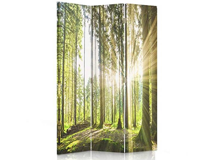Feeby Paravent Wald Baum Sonne Natur 110x150 cm 3 Teilig Modern Design beidseitig Raumteiler Wandschirme Foto Trennwand Raumtrenner Sichtschutz Spanische Wand auf Leinwand Bedruckt Landschaft Grün