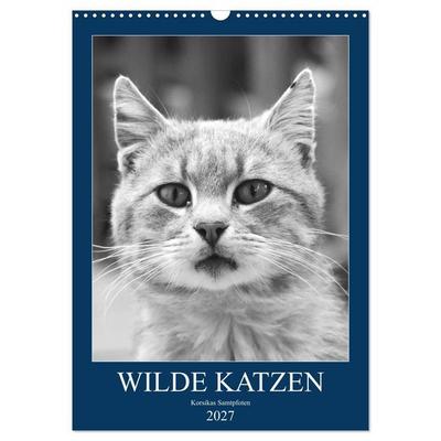 Wilde Katzen - Korsikas Samtpfoten (Wandkalender 2027 DIN A3 hoch), CALVENDO Monatskalender
