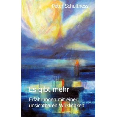Es gibt mehr, Taschenbuch von Peter Schulthess, Mosaicstones GmbH | Verlag & Buchhandel, 978-3-85580-501-3