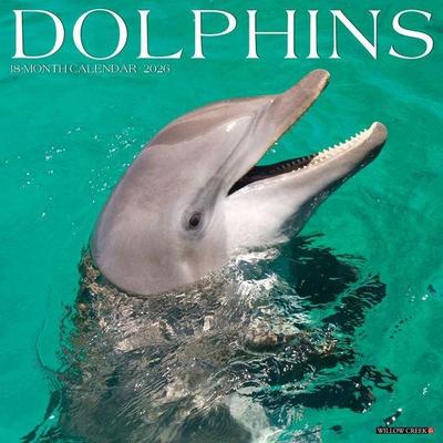 Dolphins 2026 Wall Calendar