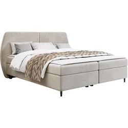 BOXBETT Madryt - H3