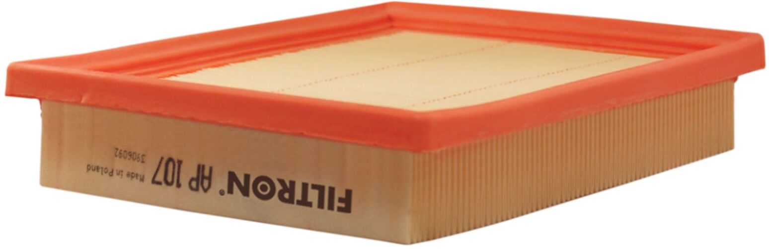 FILTRON AP 107 Air filter