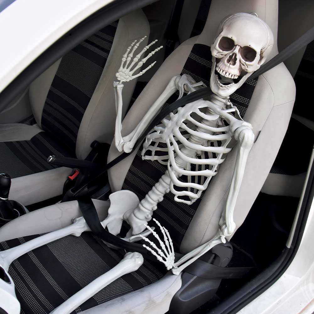 Life Size Skeleton 1.70 m