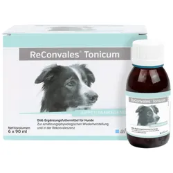 ReConvales Tonicum 6 x 90 ml Hund