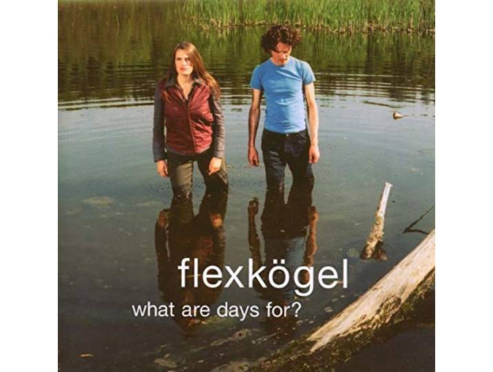 Flexkogel - What Are Days For?