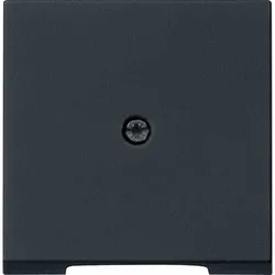 Gira System 55 Zentralplatte, schwarz, Befestigung mit Schraube, ohne Beschriftungsfeld, 0274005