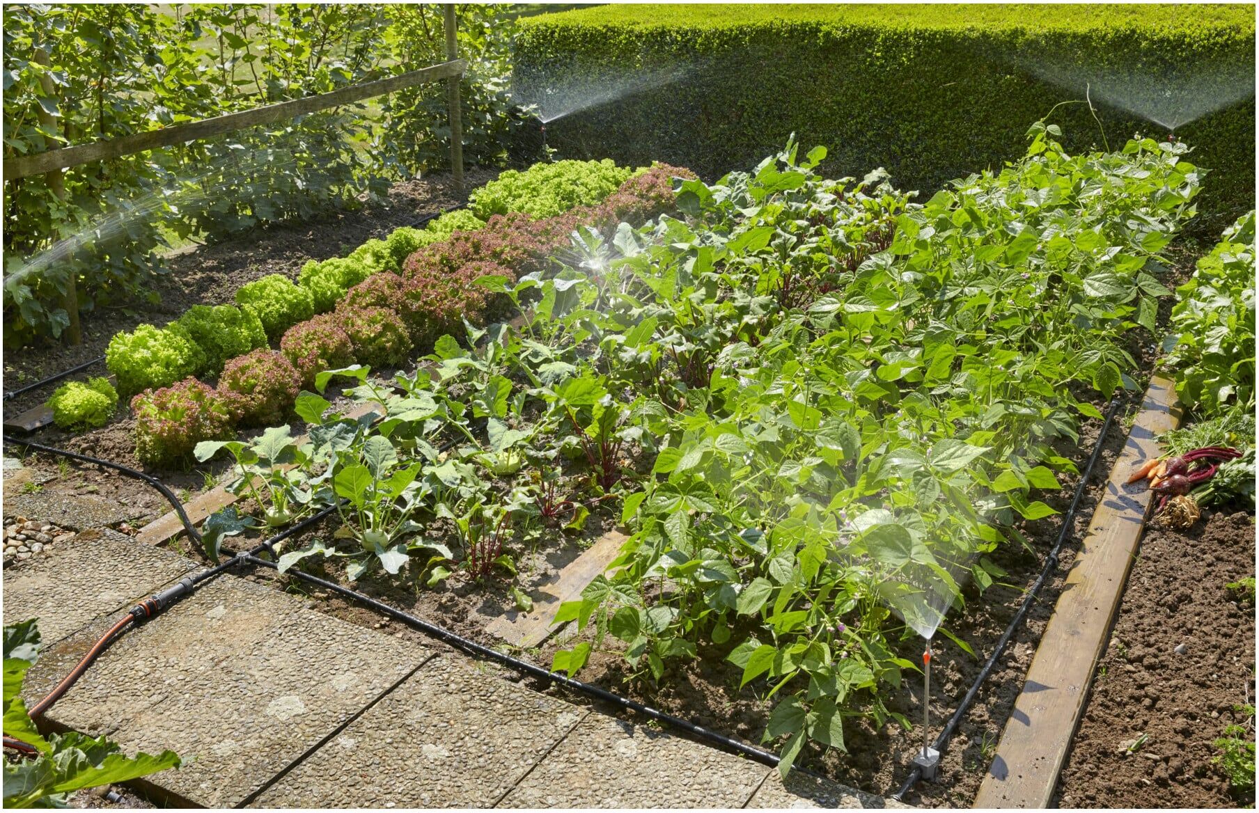 Gardena Micro-Drip-System Start-Set Pflanzflächen (13015-20)