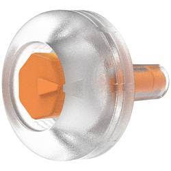 Schützinger Verschlussstück Transparent 1 Set SET: Verschlussstopfen und Schlüssel 990