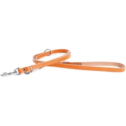 Martin Sellier 499 (Hund, Spazieren), Halsband + Leine