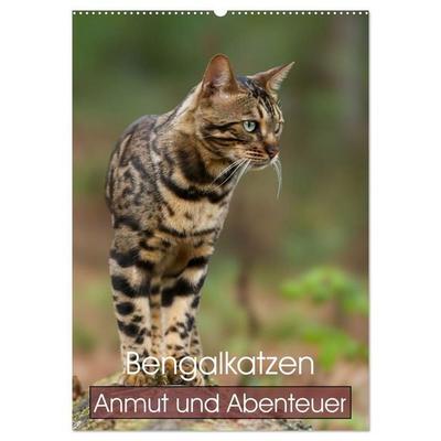 Bengalkatzen - Anmut und Abenteuer (Wandkalender 2027 DIN A2 hoch), CALVENDO Monatskalender