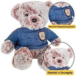 Plüsch Maskottchen Kuscheltier Teddybär Grau Blau Pullover 21cm