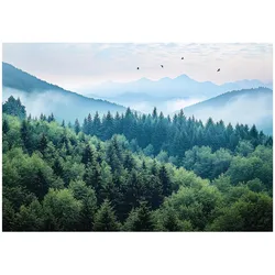 FOTOTAPETE 3D Effekt Wald im Nebel Berge 200x140