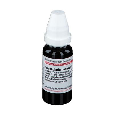 Scrophularia Nodosa Urtinktur 20 ml Dilution