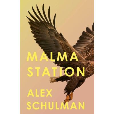 Malma Station, Gebundene Ausgabe von Alex Schulman, Little, Brown and Company, 978-0-349-72801-8