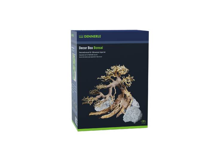Aquariendeko DENNERLE Bonsai Box , grün, Kunstriffe, Aquariendeko