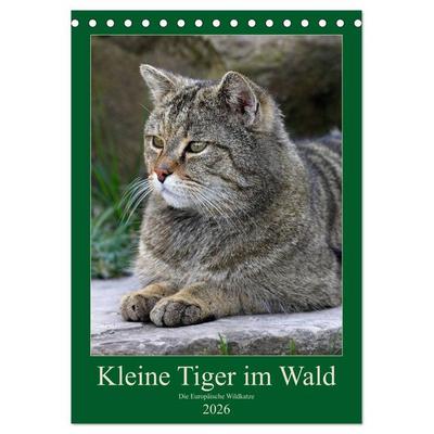 Kleine Tiger im Wald (Tischkalender 2026 DIN A5 hoch), CALVENDO Monatskalender