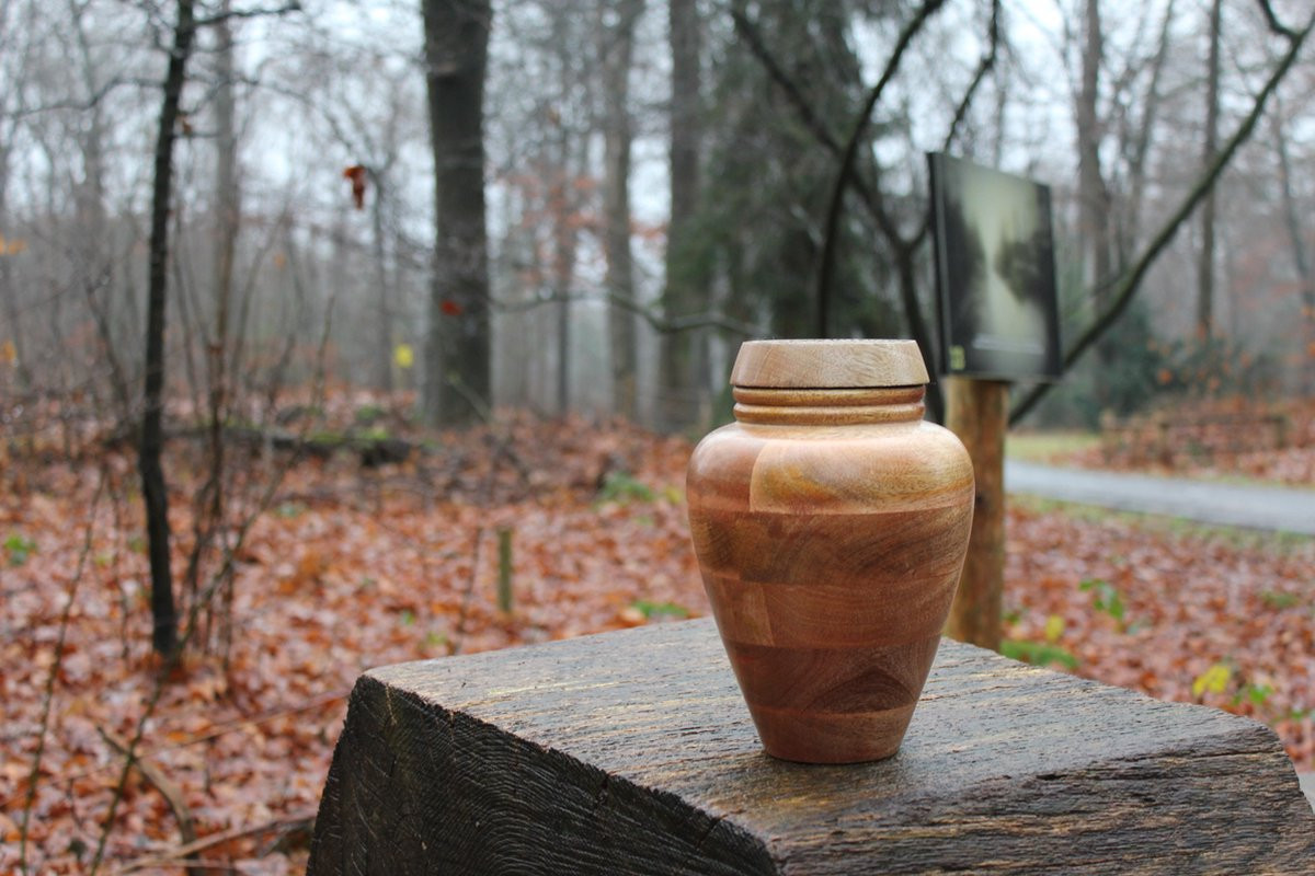 Mangohouten urn de Leyzing-3 voor volwassenen