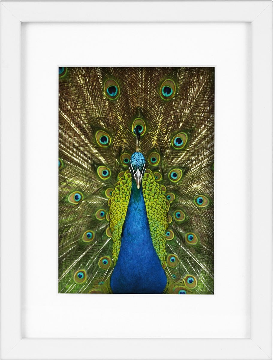 Goldbuch Fotolijst Pino Wit 10x15 cm (15x20 cm)