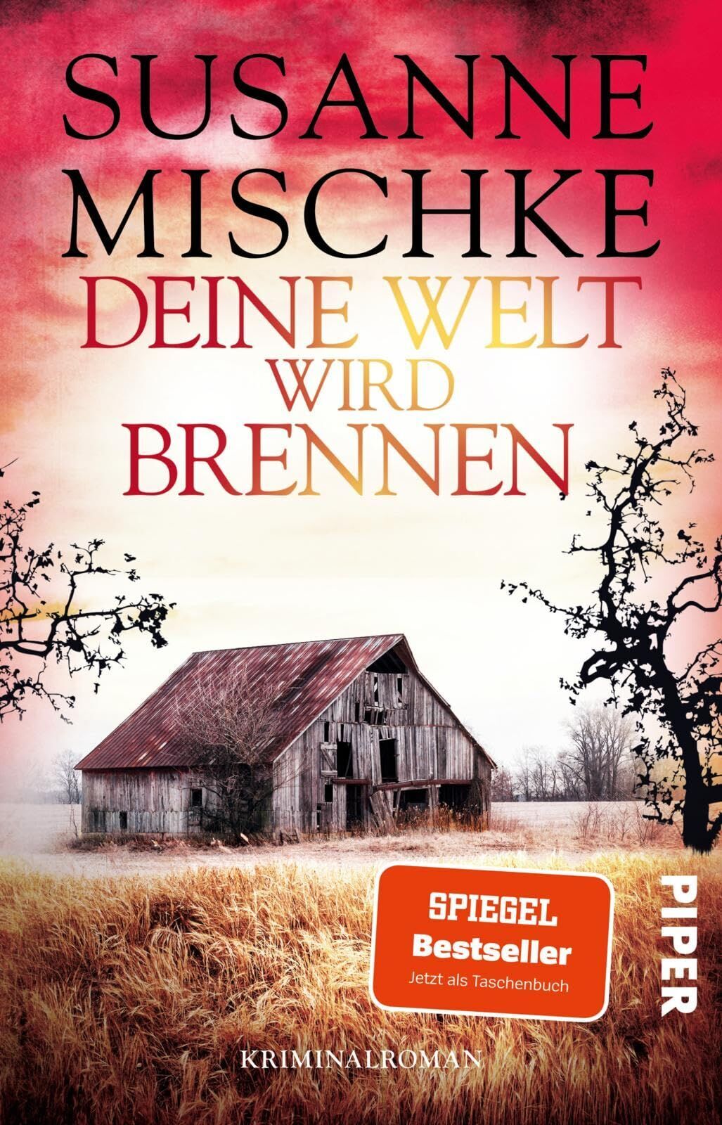 Susanne Mischke - Deine Welt wird brennen - Preis vom 09.10.2026 07:28:09 h