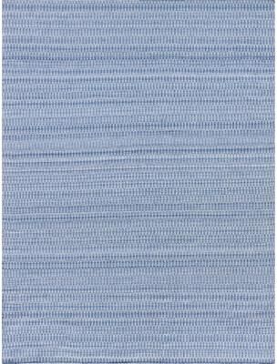 Exquisite Rugs Florence Indoor/Outdoor Flatweave PET yarn Light Blue Area Rug.