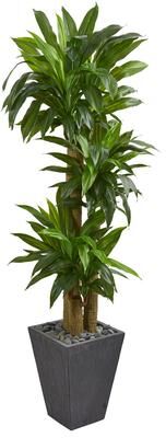 Nearly Natural 5.5' Cornstalk Dracaena Artificial Plant in Slate Planter (Real Touch) - Green