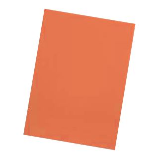 ELBA 100 Aktendeckel Smart Line DIN A4 orange