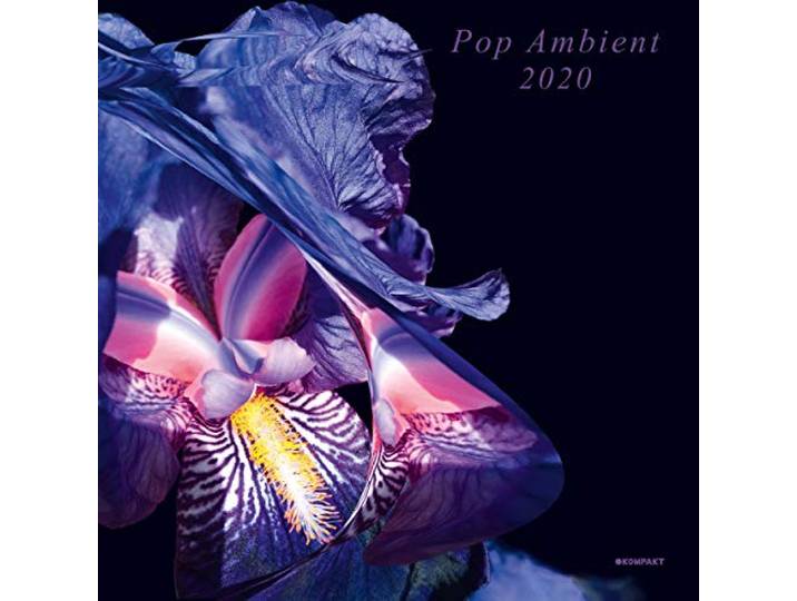 Various Artists - Pop Ambient 2020