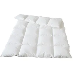 Traumina Plume Bio Daune Einziehdecke WK4 - 155x200cm