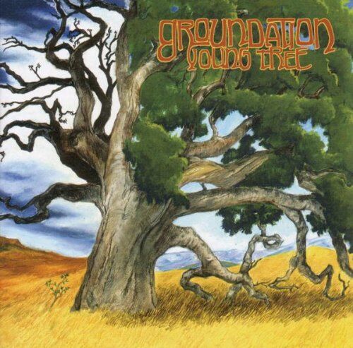 Groundation - Young Tree - Preis vom 17.10.2026 19:25:27 h