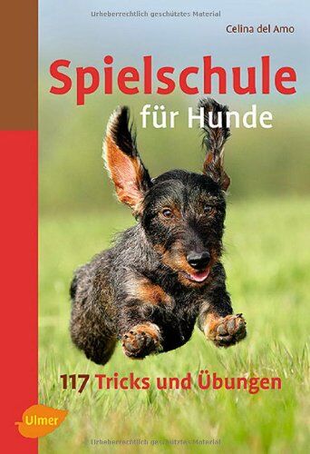 Celina del Amo - Spielschule für Hunde - Preis vom 15.10.2026 23:06:25 h