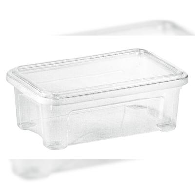 aro Combi Box mit Deckel 2.5 L ,transparent